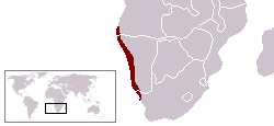 LocationNamib.png