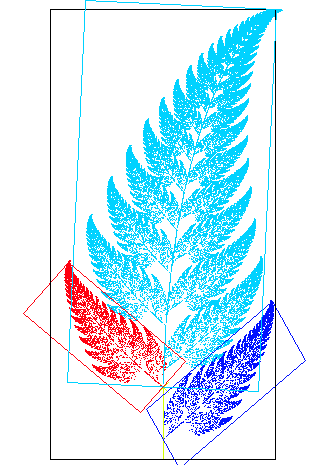 This fern is a classic example of self-similarity