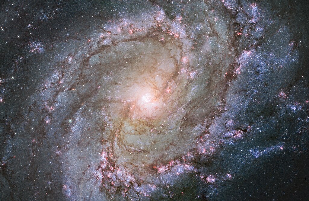 HST Messier 83